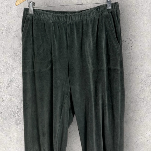 Aerie Velvet Velour Joggers Womens Size Medium Sweat Pants Elastic Waist Lounge - Picture 4 of 14